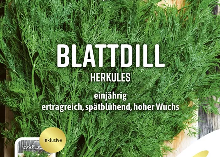 Dillsamen 'Herkules' Dillsamen 'Herkules'