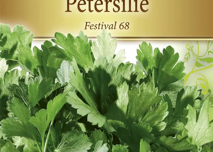 Petersiliensamen 'Festival 68'