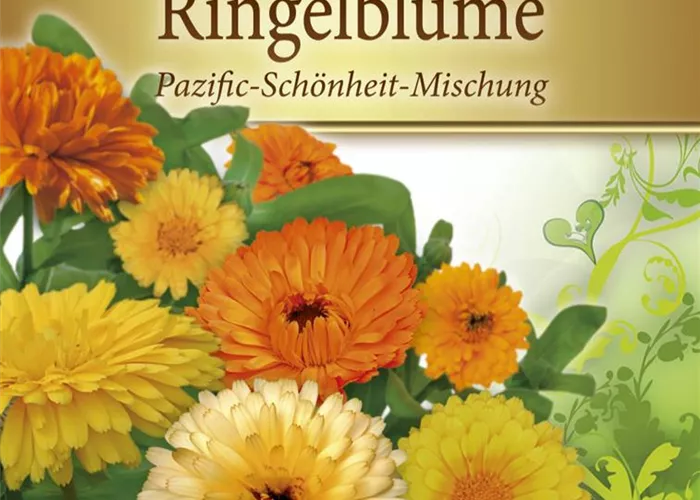Ringelblumensamen 'Pazifik Schönheit' Ringelblumensamen 'Pazifik Schönheit'