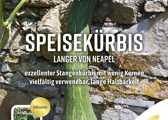 Kürbissamen 'Langer von Neapel' Kürbissamen 'Langer von Neapel'