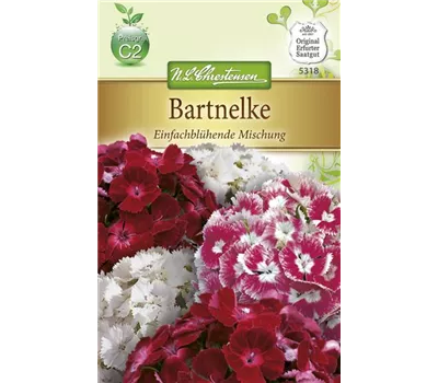 Bartnelkensamen Bartnelkensamen