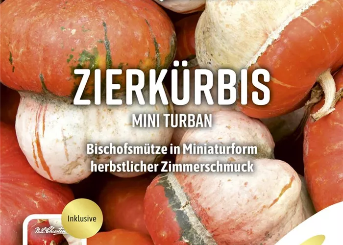 Turbankürbissamen