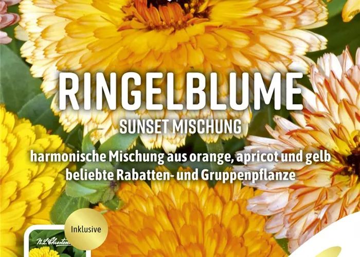 Ringelblumensamen 'Sunset Mischung' Ringelblumensamen 'Sunset Mischung'