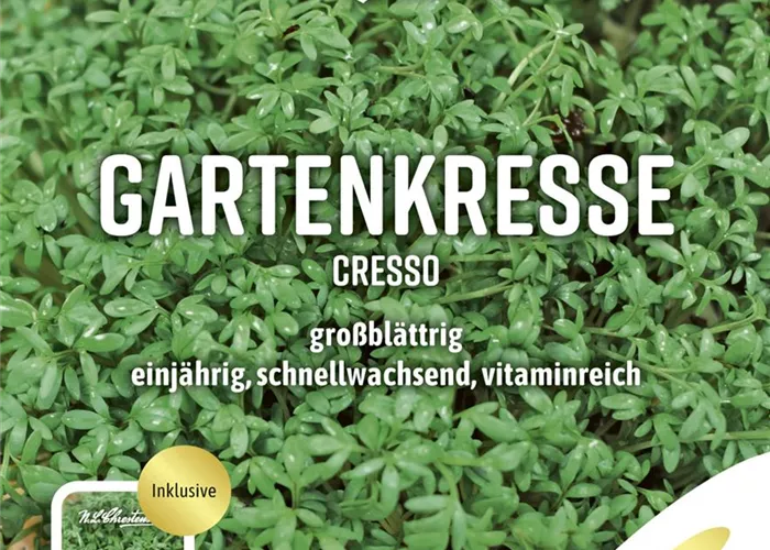 Kressesamen 'Cresso' Kressesamen 'Cresso'