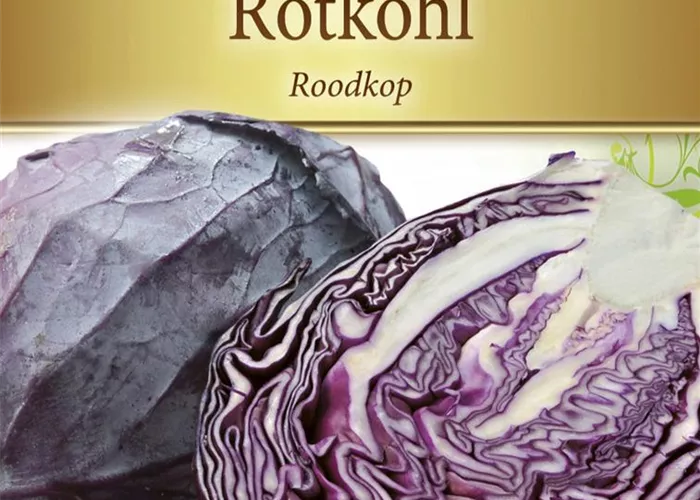 Rotkohlsamen 'Roodkop'