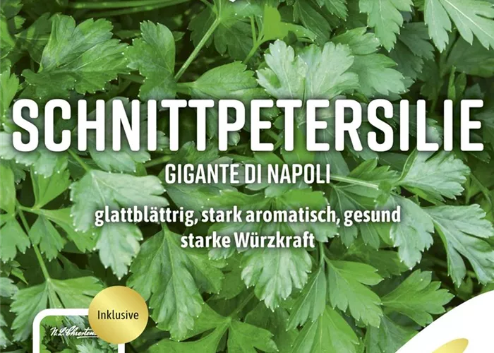 Petersiliensamen 'Gigante di Napoli'