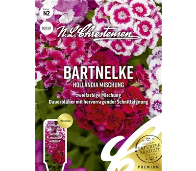 Bartnelkensamen 'Hollandia Mix' Bartnelkensamen 'Hollandia Mix'
