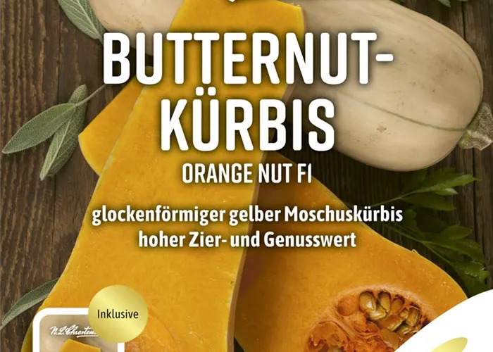Kürbissamen 'Orange Nut' Kürbissamen 'Orange Nut'