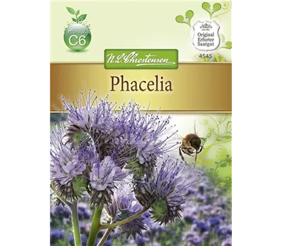 Phaceliasamen Phaceliasamen