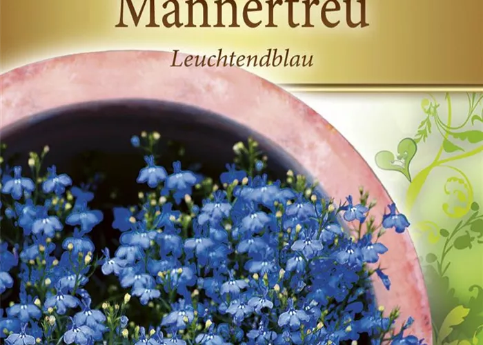 Lobeliensamen 'Leuchtendblau'