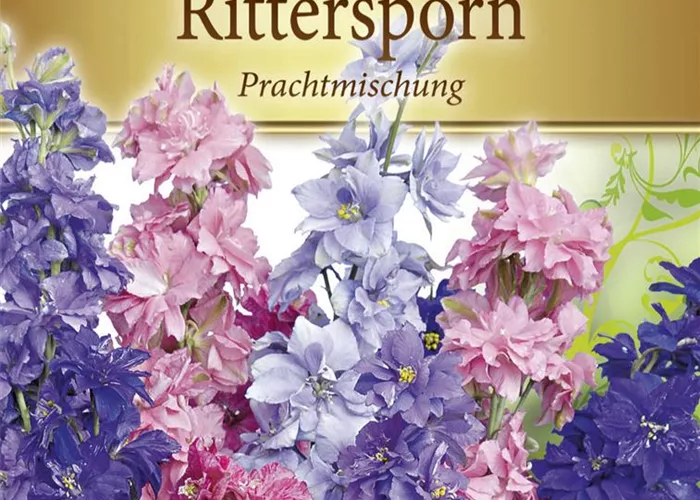 Garten-Feldrittersporn-Samen