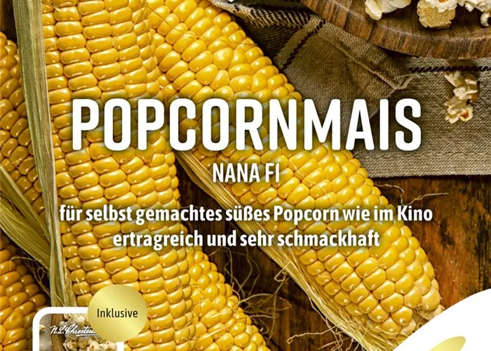 Popcornmaissamen 'Nana'