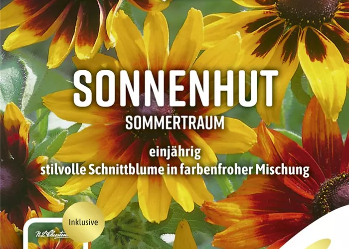 Sonnenhutsamen 'Sommertraum'