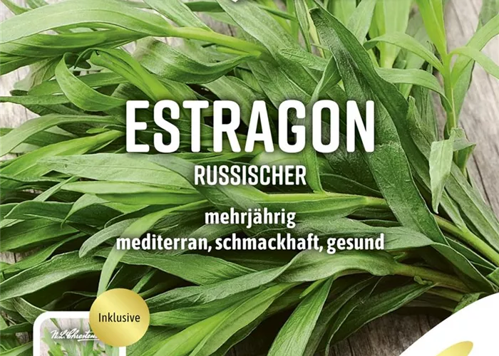 Rusischer Estragon-Samen