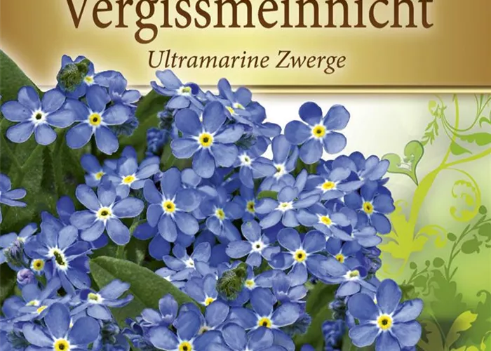 Vergissmeinnichtsamen 'Ultramarine Zwerg' Vergissmeinnichtsamen 'Ultramarine Zwerg'