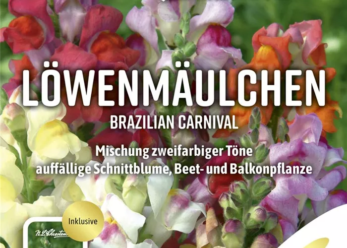 Löwenmäulchensamen 'Brazilian Carnival' Löwenmäulchensamen 'Brazilian Carnival'