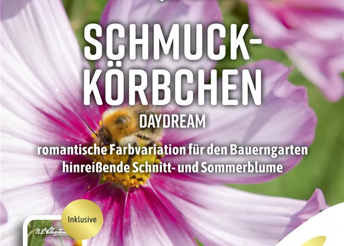 Schmuckkörbchensamen 'Daydream'