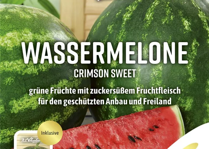 Wassermelonensamen 'Crimson Sweet' Wassermelonensamen 'Crimson Sweet'