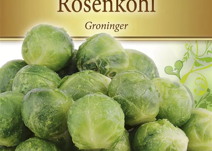 Rosenkohlsamen 'Groninger'