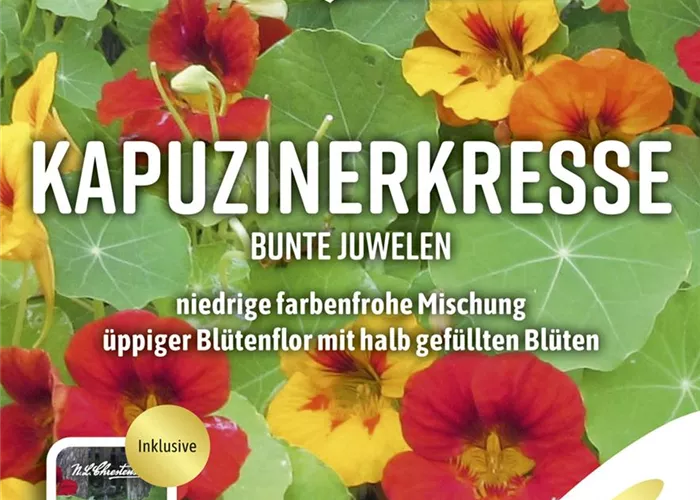 Kapuzinerkressesamen 'Bunte Juwelen'