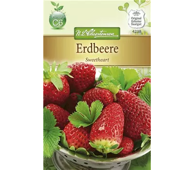 Erdbeersamen 'Sweetheart' Erdbeersamen 'Sweetheart'