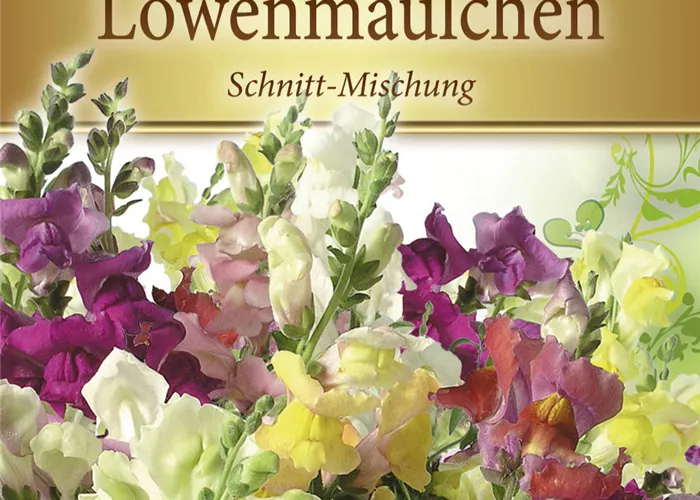 Garten-Löwenmaul-Samen