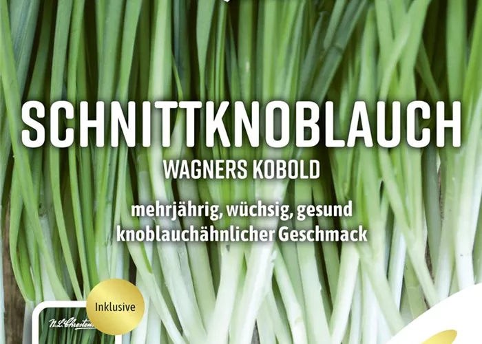 Schnittknoblauchsamen 'Wagners Kobold'