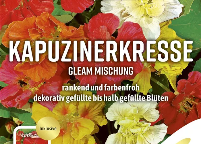 Kapuzinerkressesamen 'Gleam Mischung'