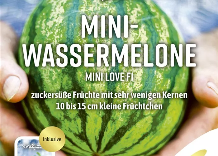 Wassermelonensamen 'Mini Love' Wassermelonensamen 'Mini Love'