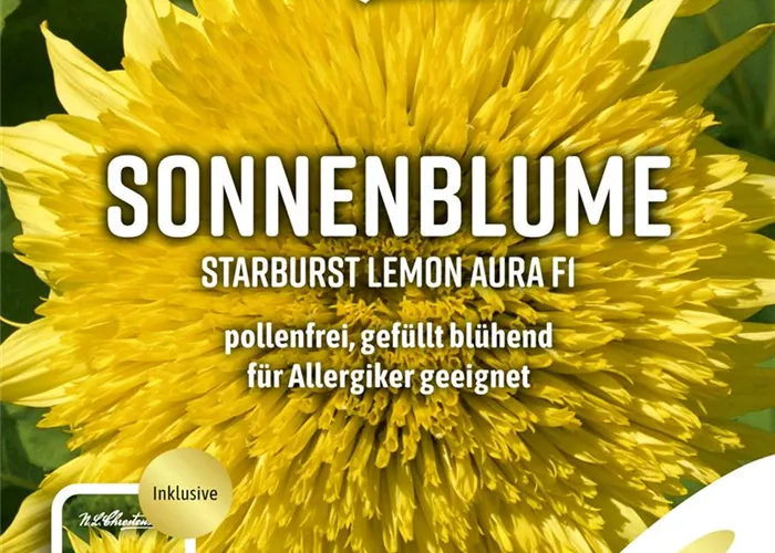 Sonnenblumensamen 'Starburst Lemon Aura'