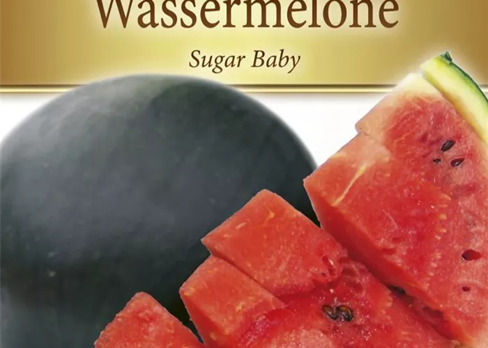 Wassermelonensamen 'Sugar Baby' Wassermelonensamen 'Sugar Baby'