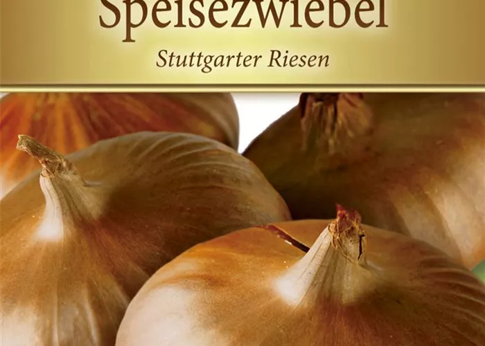 Zwiebelsamen 'Stuttgarter Riesen'