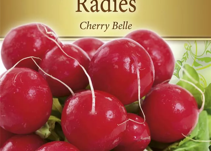 Radieschensamen 'Cherry Belle'