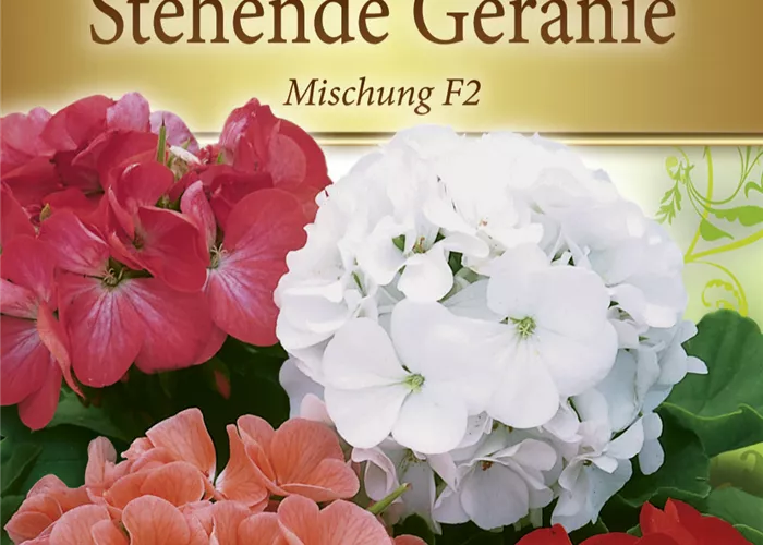 Zonal-Pelargonien-Samen