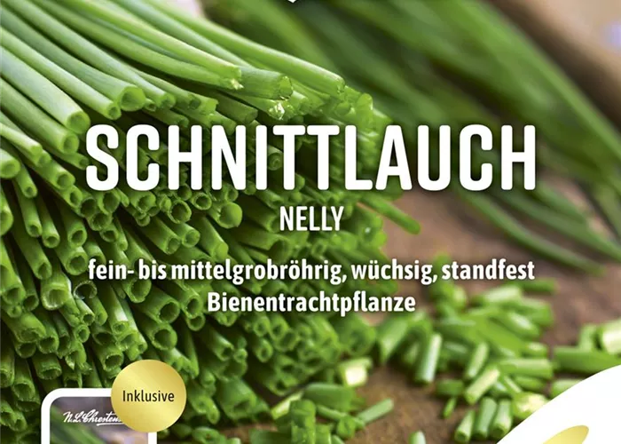 Schnittlauchsamen 'Nelly'