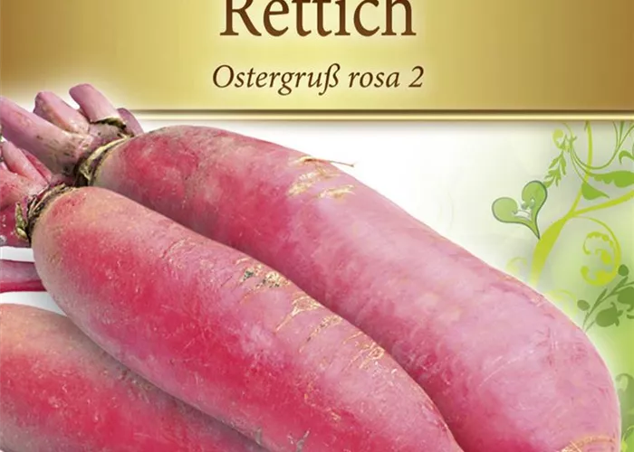 Rettichsamen 'Ostergruß Rosa 2'