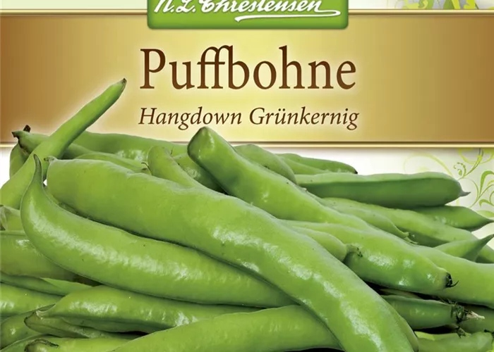 Puffbohnensamen 'Hangdown Grünkernig'