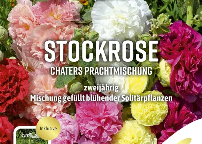 Stockrosensamen 'Chater'