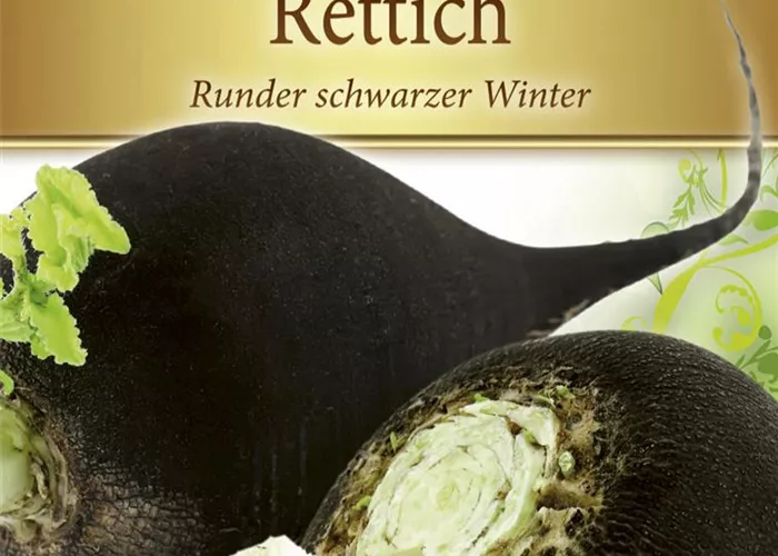 Rettichsamen 'Runder Schwarzer Winter'