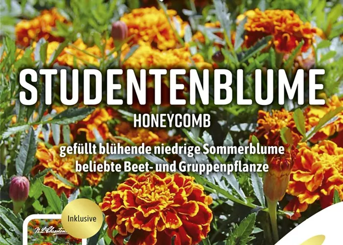 Tagetessamen 'Honeycomb'