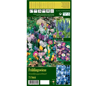 Frühlingswiese Frühlingswiese