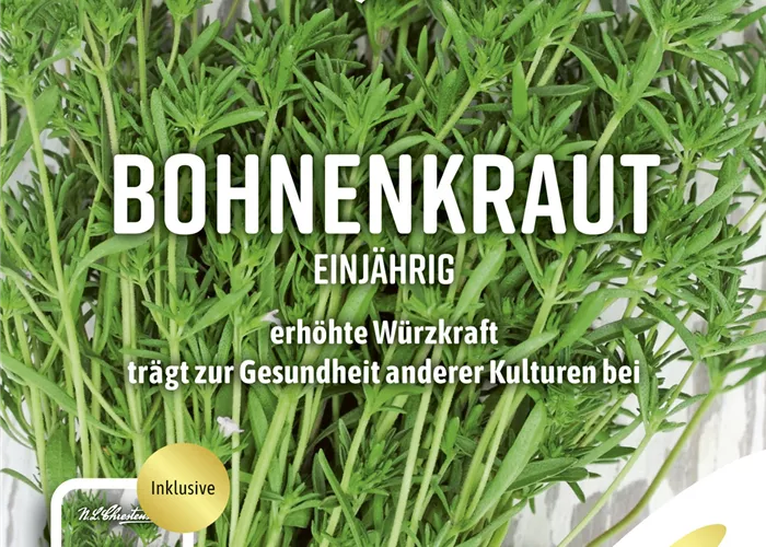 Sommer-Bohnenkraut-Samen