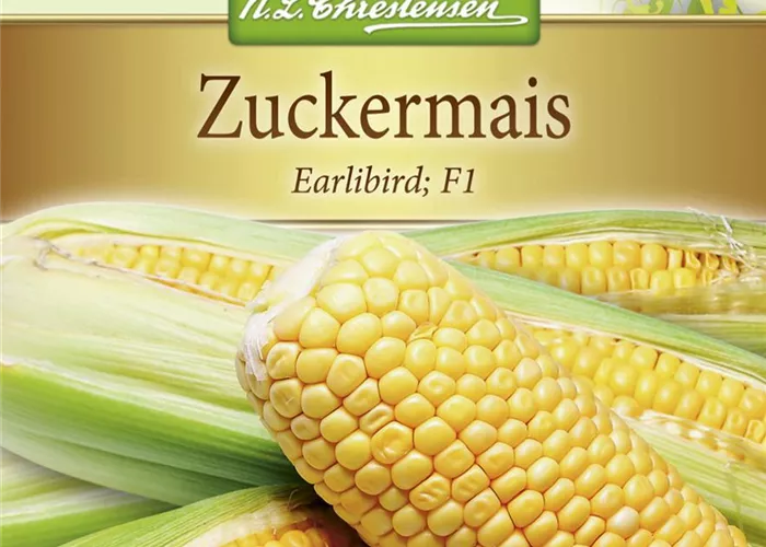 Zuckermaissamen 'Earlibird'