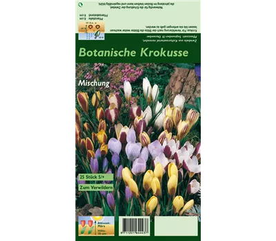 Botanische Krokusse Botanische Krokusse