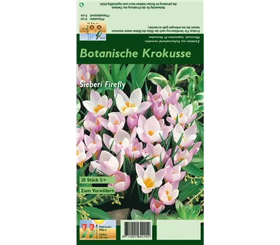 Garten-Krokus 'Firefly' Garten-Krokus 'Firefly'