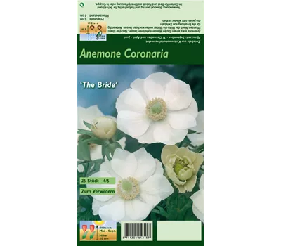 Kronen-Anemone 'De Caen The Bride' Kronen-Anemone 'De Caen The Bride'