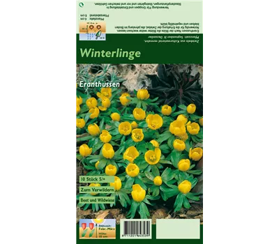 Winterling Winterling