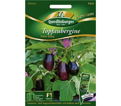 Auberginensamen 'Patio Baby' Auberginensamen 'Patio Baby'