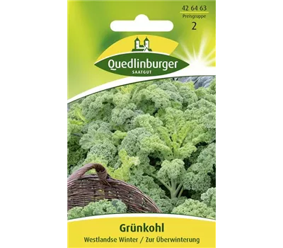 Grünkohlsamen 'Westerländer Winter' Grünkohlsamen 'Westerländer Winter'