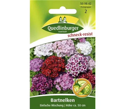 Bartnelkensamen 'Einfache Mischung' Bartnelkensamen 'Einfache Mischung'
